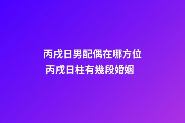 丙戌日男配偶在哪方位 丙戌日柱有幾段婚姻-第1張-觀點-玄機派